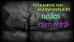 İSTANBUL’DA İDAM EDİLEN MAYMUNLAR