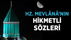 MEVLANA’NIN SÖZLERİ